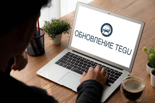 Выпущен почтовый сервер ТЕГУ (TEGU) на базе архитектуры LoongArch (loong64)